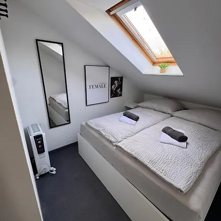 Einfachheimisch - Gameloft - Shuffleboard - 3wcs - Arcade - Nintendo Hanôver