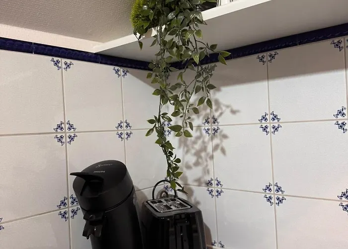 Einfachheimisch - Gameloft - Shuffleboard - 3wcs - Arcade - Nintendo * Hanovre