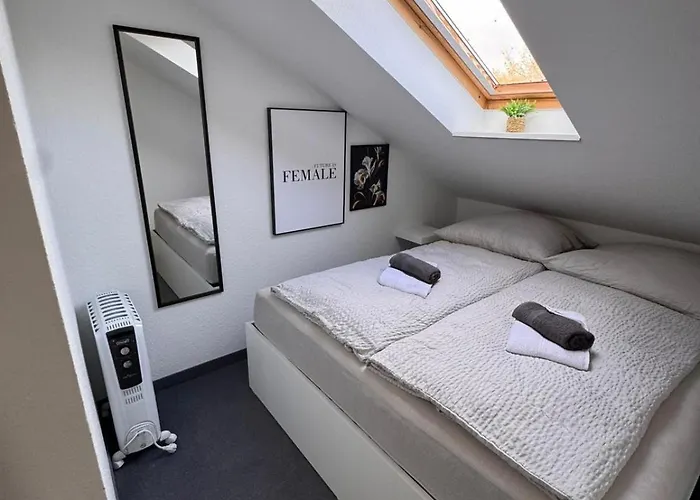 Einfachheimisch - Gameloft - Shuffleboard - 3wcs - Arcade - Nintendo Hanovre